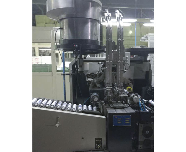 NMG01 Capping Machine