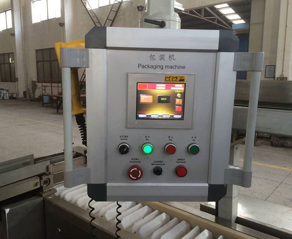 BZ03 Automatic High Speed Box Packing Machine